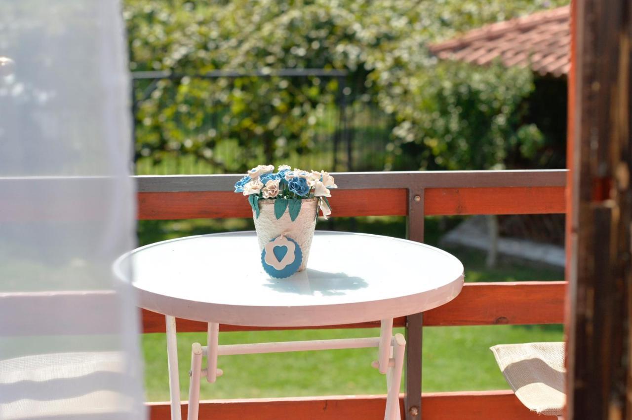 Vila Andrea Danilovgrad Ngoại thất bức ảnh